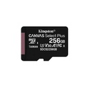 SDCS3/256GB